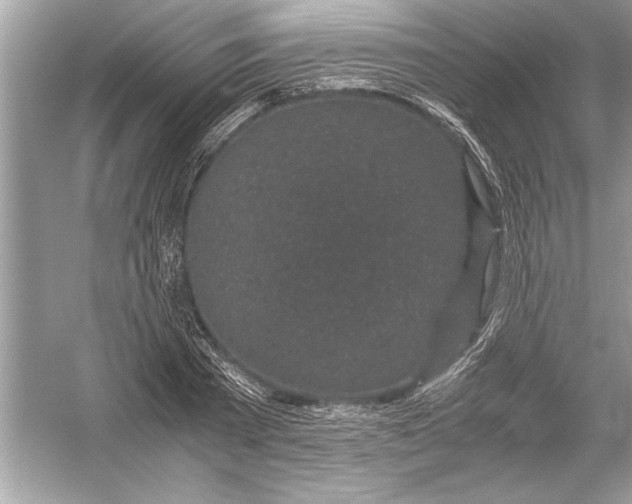 X0000051880785200507221948