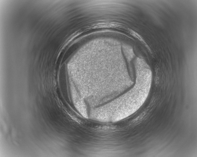 X0000051880786200507221948