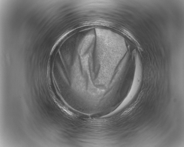 X0000051880788200507221948