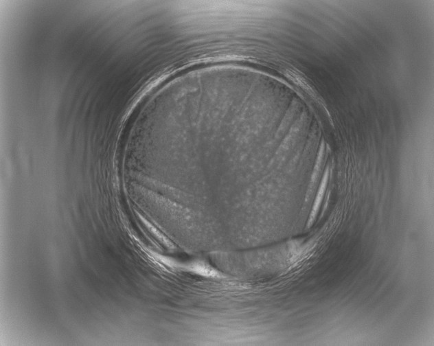 X0000051880789200507221948