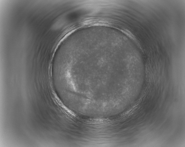 X0000051880790200507221948