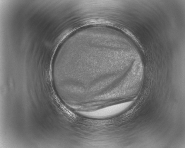 X0000051880791200507221948