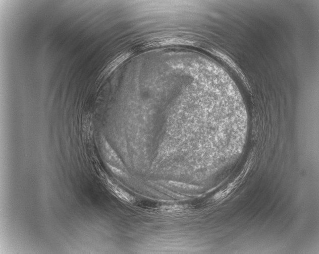 X0000051880793200507221948