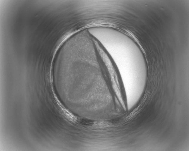 X0000051880795200507221948