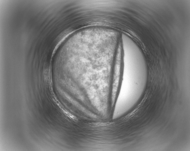 X0000051880796200507221948