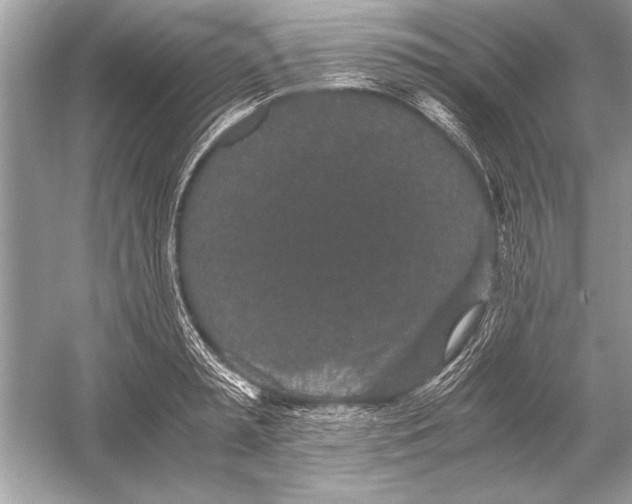 X0000051880797200507221948