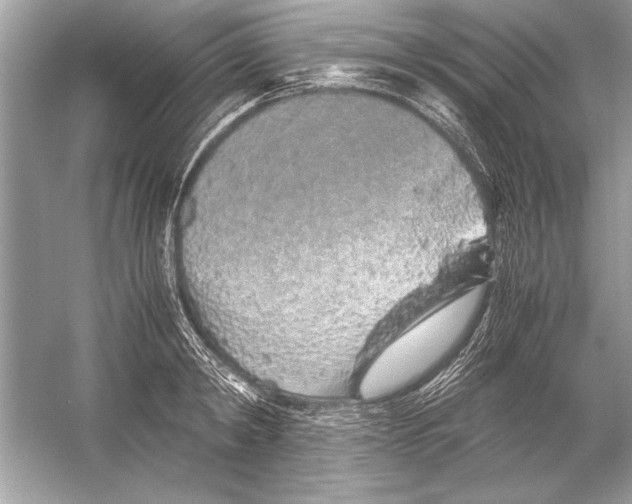 X0000051880798200507221948