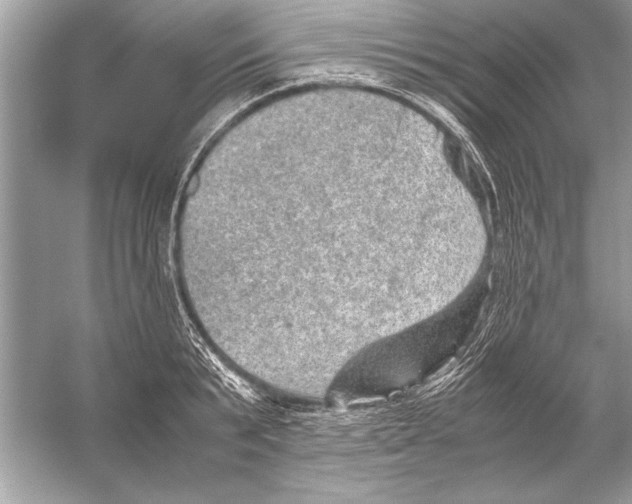 X0000051880799200507221948