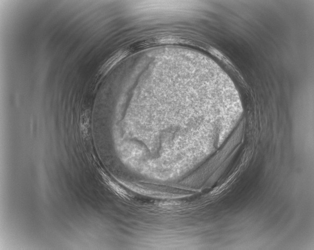 X0000051880801200507221948