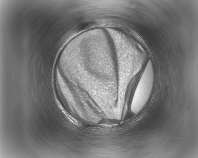 X0000051880803200507221948