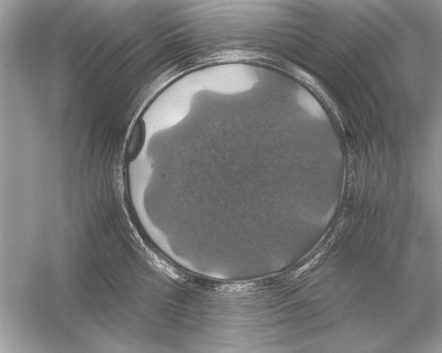 X0000051880810200507221948