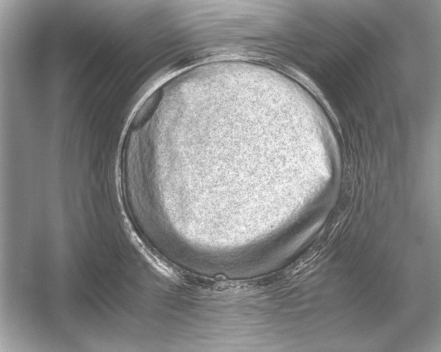 X0000051880811200507221948