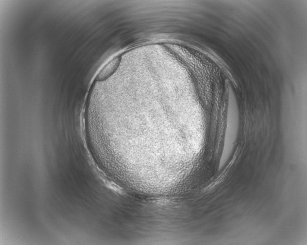 X0000051880814200507221948