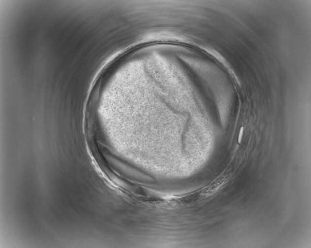 X0000051880815200507221948