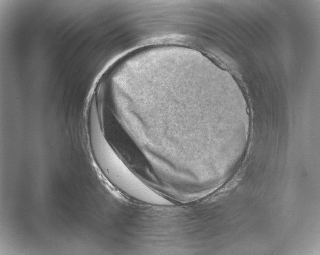 X0000051880816200507221948