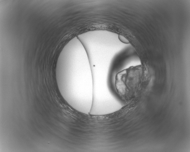 X0000051880819200507221947