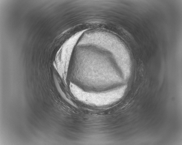 X0000051880821200507221947