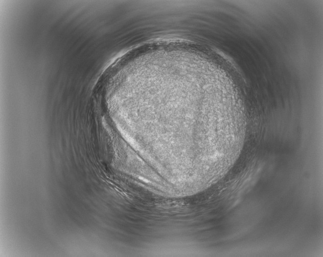 X0000051880823200507221947