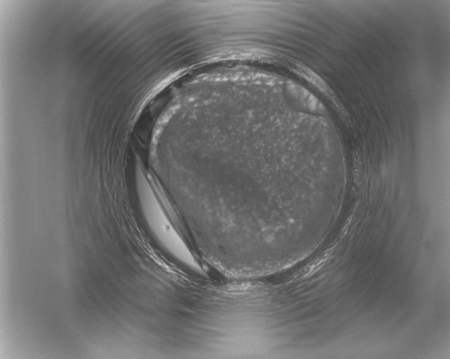 X0000051880826200507221947