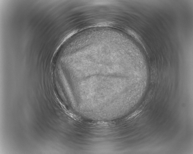 X0000051880827200507221947