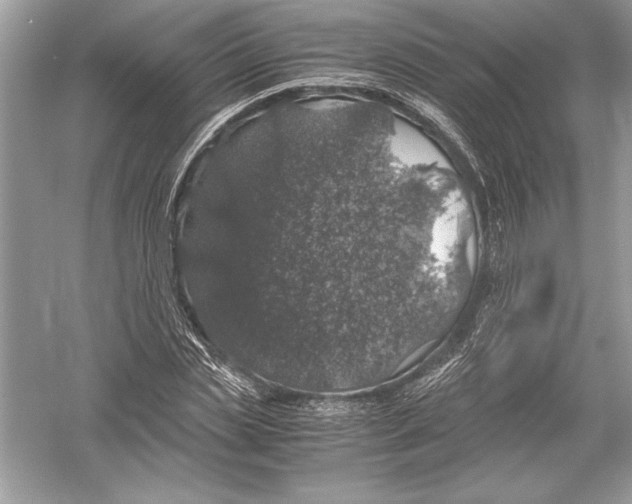 X0000051880829200507221947