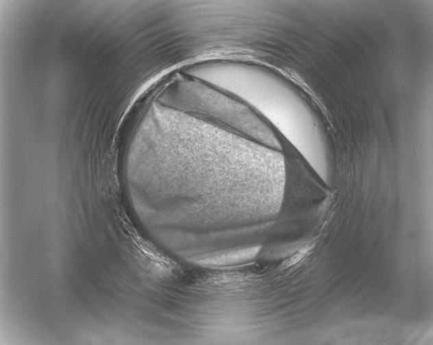 X0000051880830200507221947