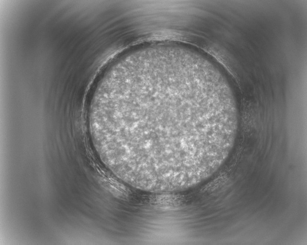 X0000051880832200507221947