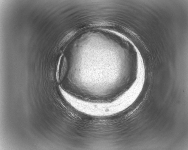 X0000051880833200507221947