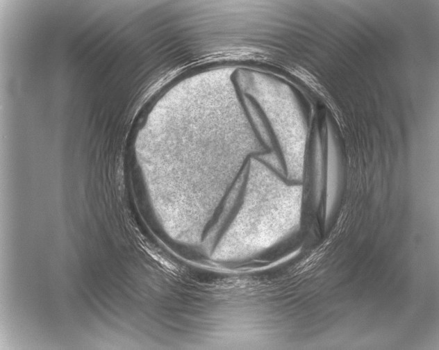 X0000051880834200507221947