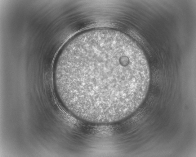 X0000051880836200507221947