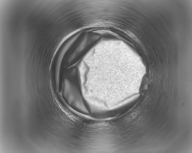 X0000051880838200507221947