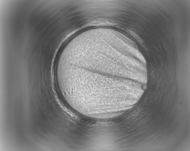 X0000051880840200507221947