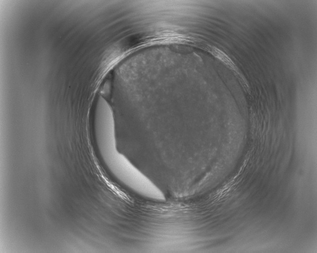 X0000051880842200507221947