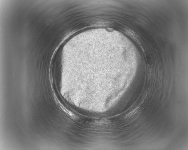 X0000051880843200507221947