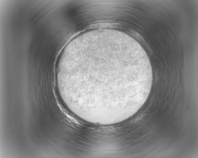 X0000051880844200507221947