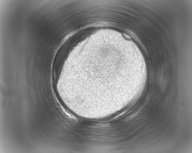 X0000051880845200507221947