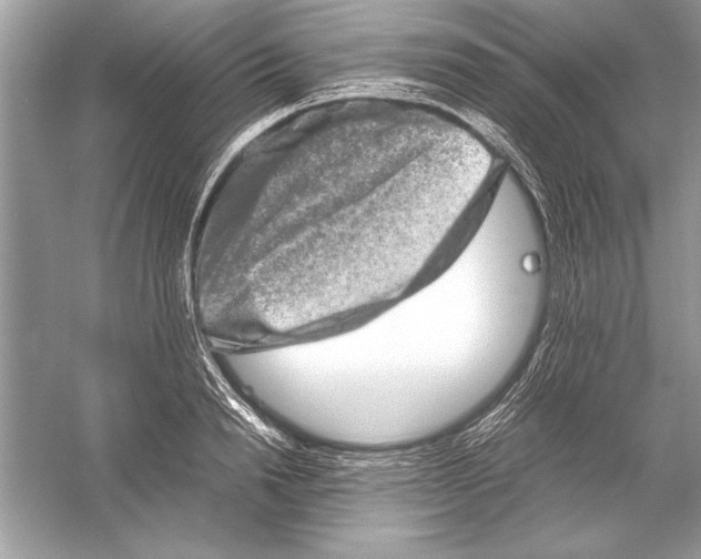 X0000051880846200507221947