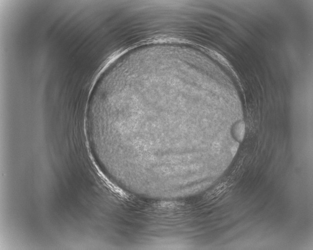 X0000051880847200507221947