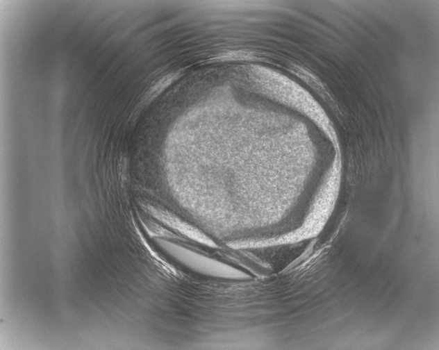 X0000051880849200507221947