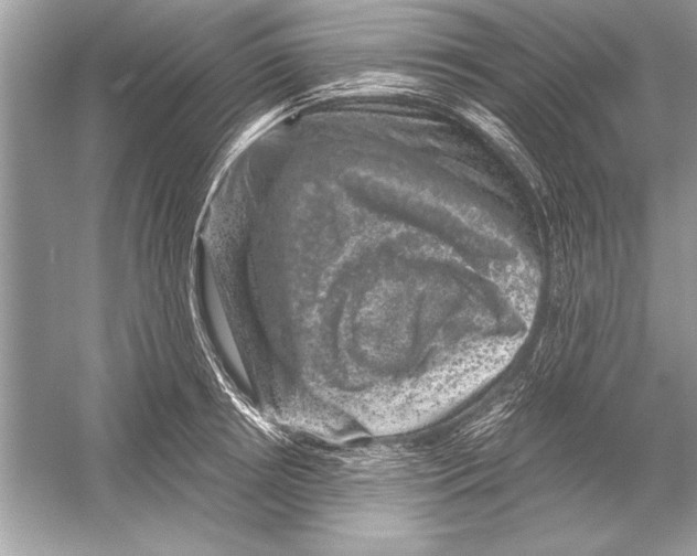 X0000051880850200507221947