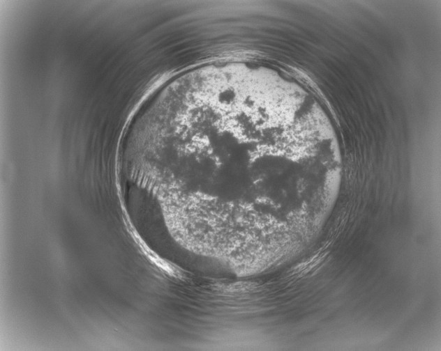 X0000051880851200507221947