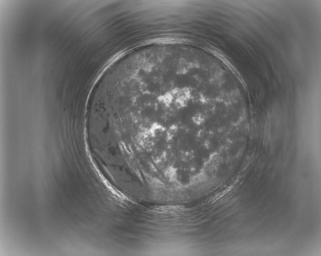 X0000051880853200507221948