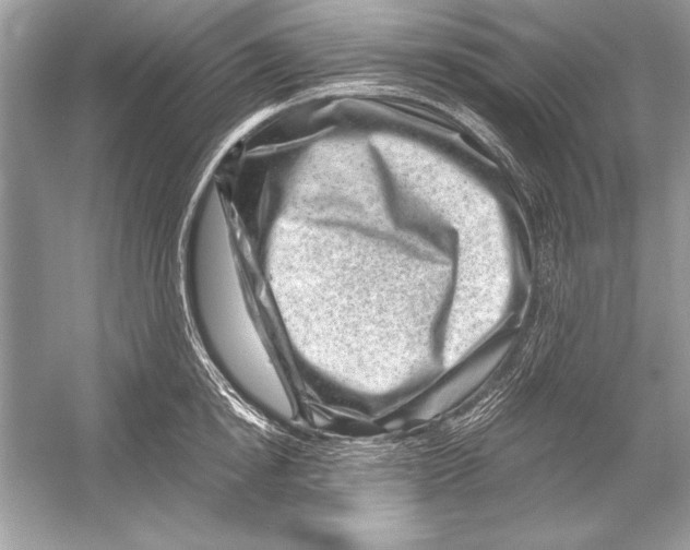 X0000051880854200507221948