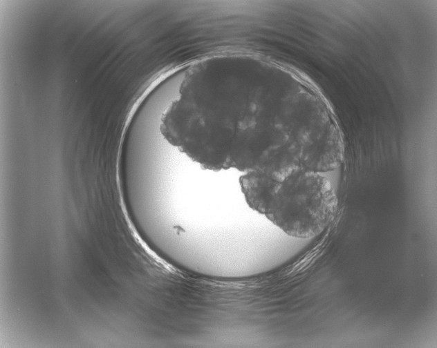 X0000051880855200507221948