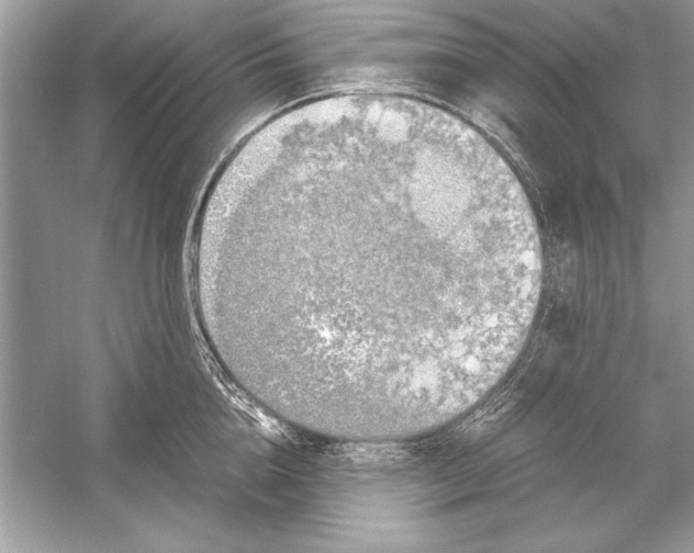 X0000051880856200507221948