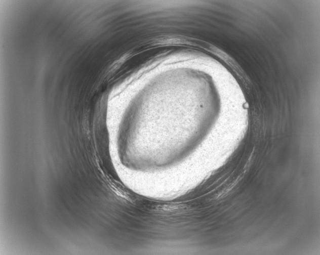 X0000051880857200507221948