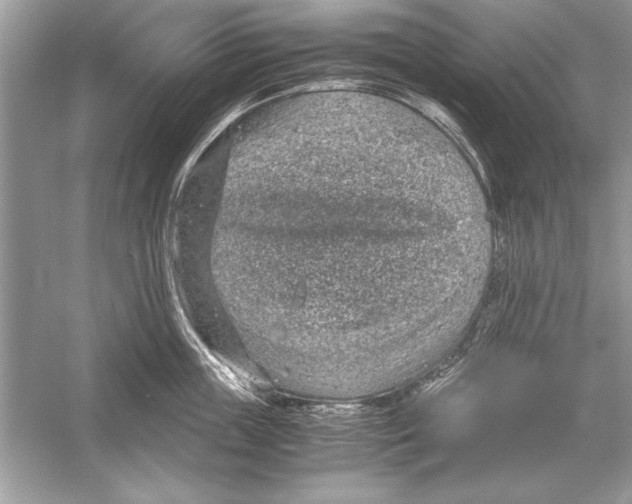 X0000051880859200507221948