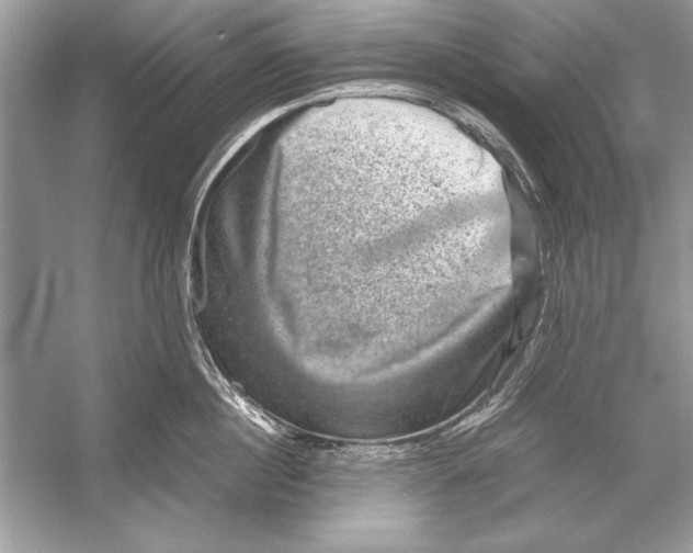 X0000051880860200507221948