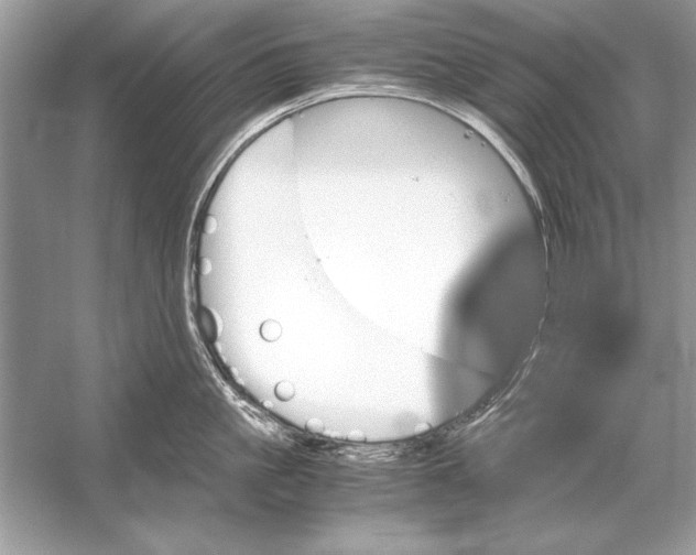 X0000051880861200507221948