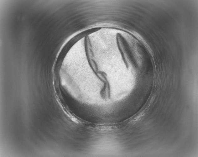 X0000051880862200507221948